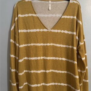Boutique Striped V-Neck Long Sleeve Top. NWOT